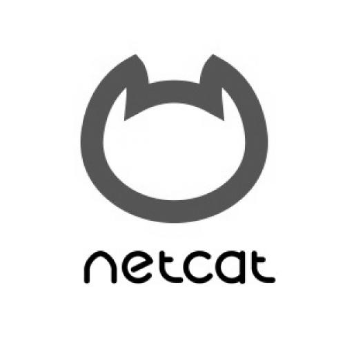 Разработка сайтов на NetCat