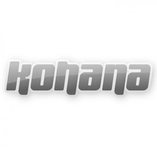 Разработка сайтов на Kohana